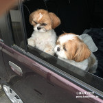 全国的に、冷え込みました