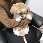 放射線ヨード治療を終えて早２週間です