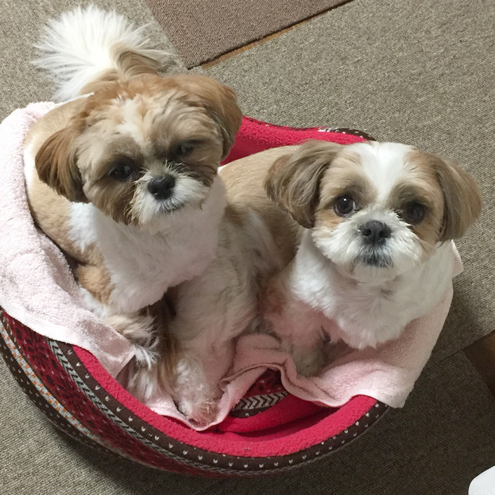 いっしょに寝るかぼ！