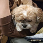 気分が沈んでます