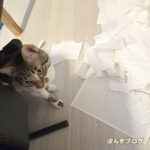 いたずらしてやったにゃ～！