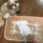 ビリビリやられました。