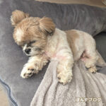 みんなのお気に入り？