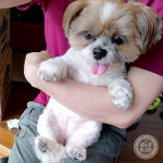 まだまだ、あついかぼ！