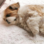 屋内ストライキ