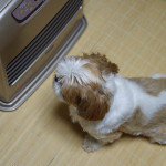 ストーブより、ぽんず母さん