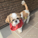 少し良いみたいです