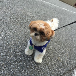 マイペースをつらぬく、ぽんず。