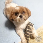 おいらの、お気に入り！