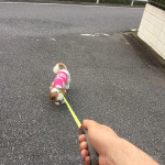 そっちじゃないよ。