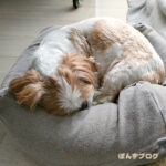 地震、怖いです