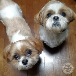 地震、怖いですね・・・