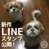 新作LINEスタンプを公開!!(2016.12)