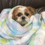 ホットウォーキング