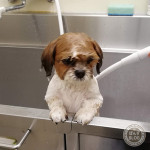 ぶるぶるぶる！