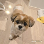 くまちゃん度高し！！