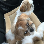 そこが一番好き