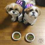 かぼす、身体が戻ってきました