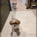 良いの、出るかな？