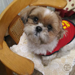 耳掃除、がまんできたね