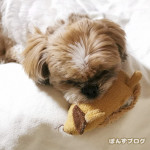 もふもふ珍百景