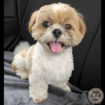 かぼす、４歳になりました☆