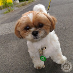 そこに何が・・・？