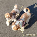 マイペースでも、いいよね！