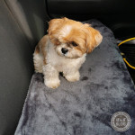 かぼすも脱もふ。ちょっと寒そう？