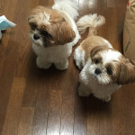 食後の満足顔(^0^)