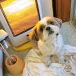 さっと流して・・・