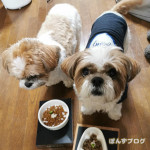 カイカイ収まらず。