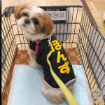 雨降って、良かった～？