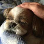 蒸し暑かったです(@@;