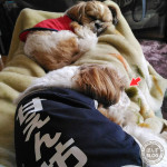 要ストレッチ・・・汗