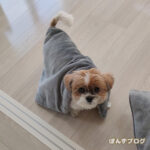 周りを和ませる、もふもふ親子。