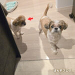 熟睡していてもすぐに食べるモード