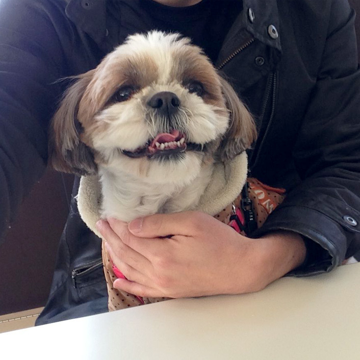 ドッグカフェ行ってきました！