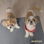 変わらない日常に感謝です