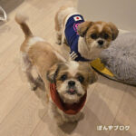 咳の頻度は変わらないけど・・・