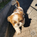 風にまけない！