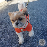 きーんと冷たい風、吹いてます。