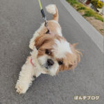 まだ冬が去らなくて嬉しい