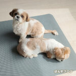 こうしてると、嬉しくなっちゃいます