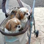 目と皮膚炎、再診です。