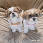 名コンビ誕生？