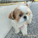 北風が寒い！！