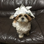 こどもの日ということで・・・