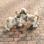 まだまだ、若いよ！