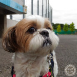 楽しいぽんかぼ～